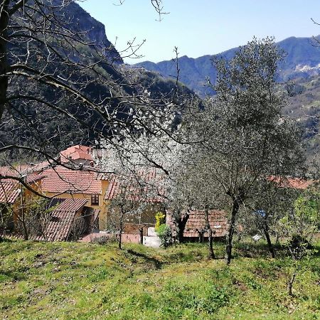 Il Metato Di Gallena Bed & Breakfast Stazzema Exterior foto
