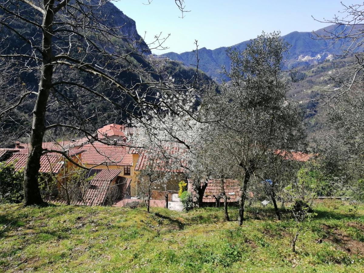 Il Metato Di Gallena Bed & Breakfast Stazzema Exterior foto