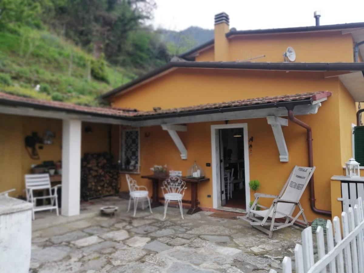 Il Metato Di Gallena Bed & Breakfast Stazzema Exterior foto