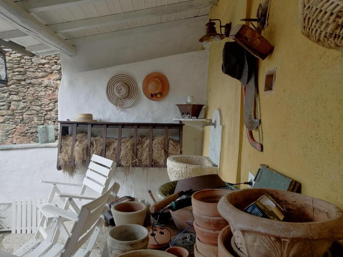 Il Metato Di Gallena Bed & Breakfast Stazzema Exterior foto